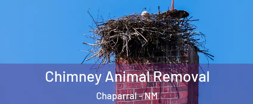  Chimney Animal Removal Chaparral - NM