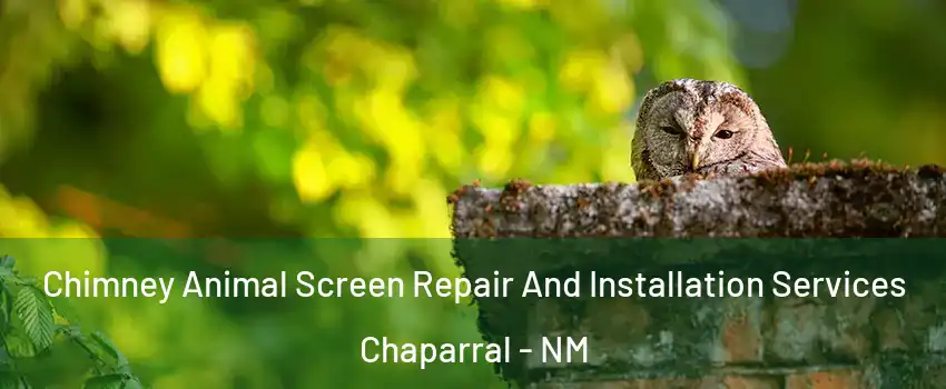  Chimney Animal Screen Repair And Installation Services Chaparral - NM
