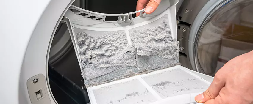 Best Dryer Lint Removal Company in Chaparral, New Mexico