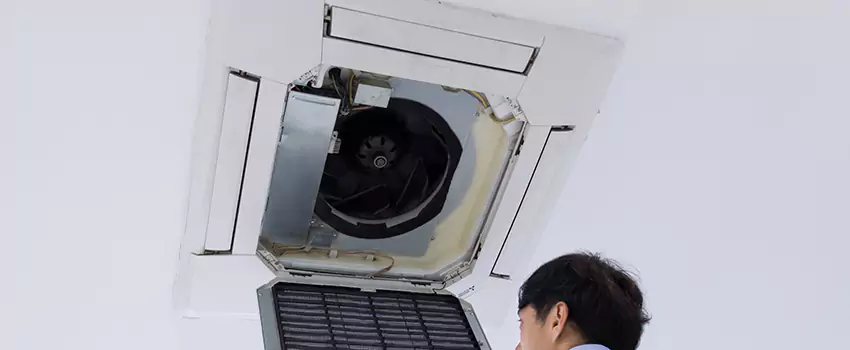 Benefits of Professional Air Duct Cleaning in Chaparral, New Mexico