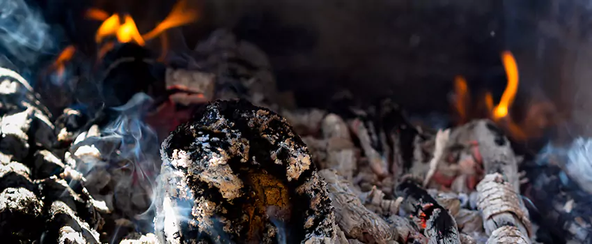 Creosote Removal Experts in Chaparral, NM