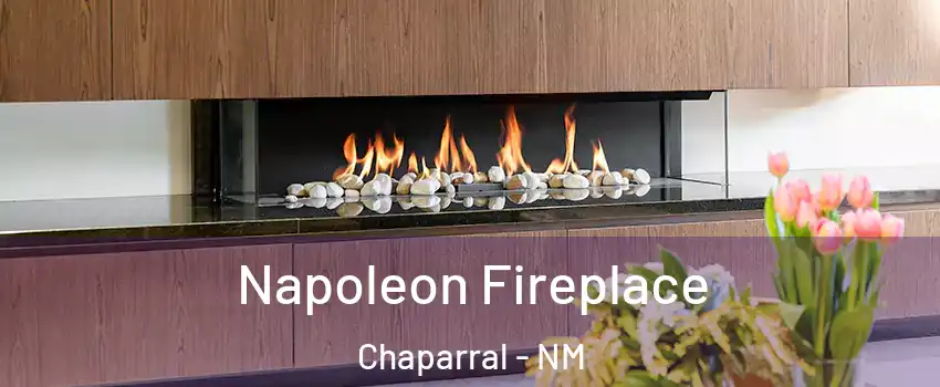  Napoleon Fireplace Chaparral - NM
